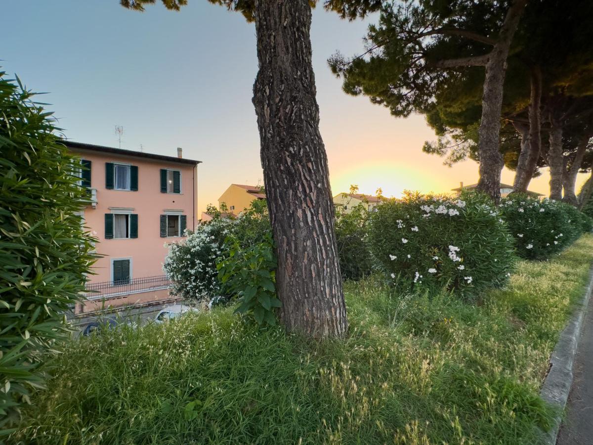Appartement La Casa Di Eli Pise