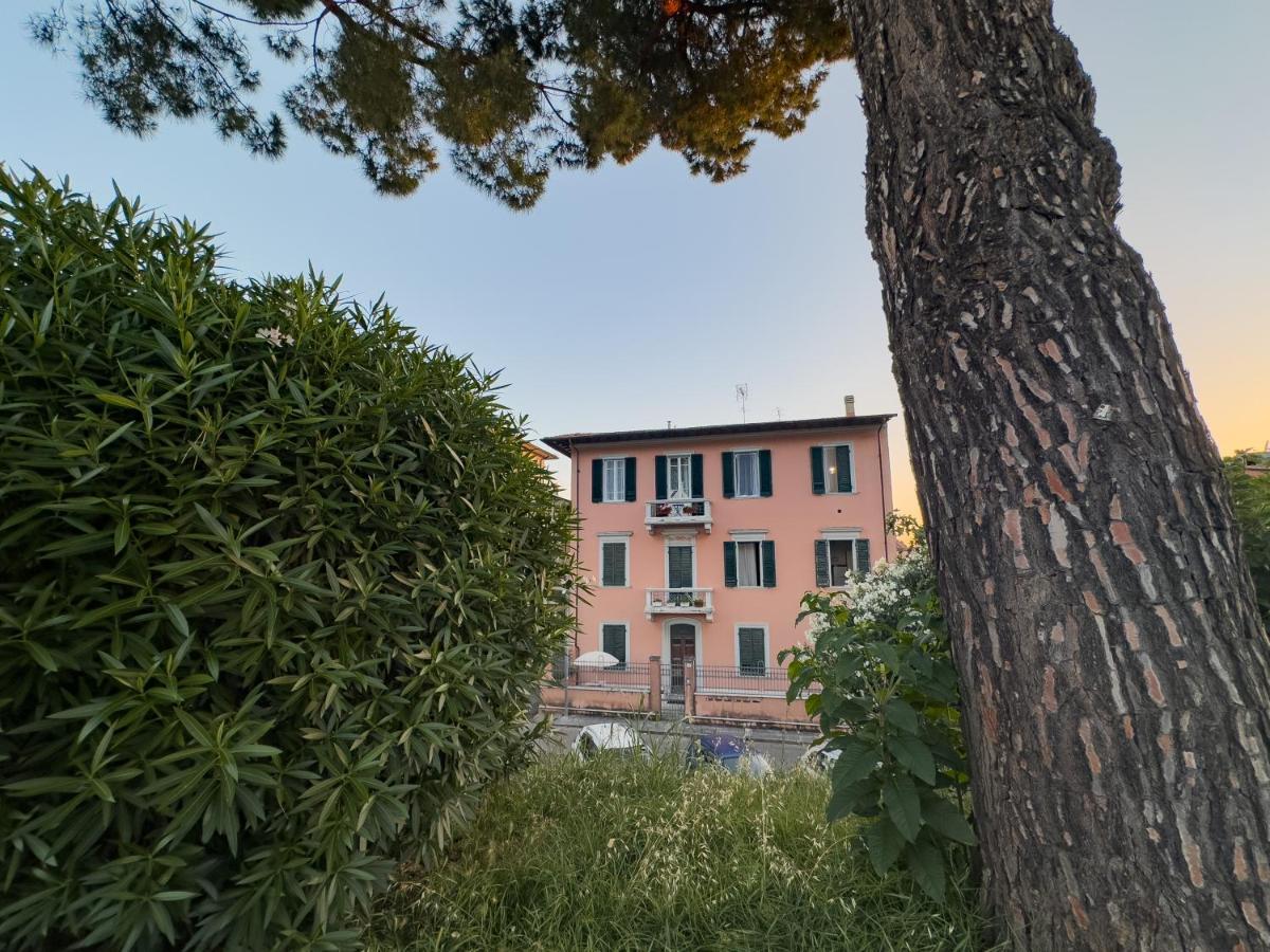 La Casa Di Eli Pise